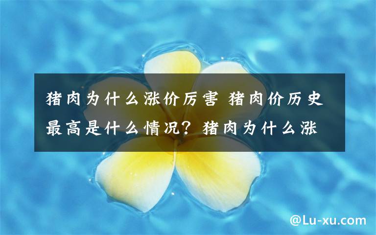 猪肉为什么涨价厉害 猪肉价历史最高是什么情况？猪肉为什么涨价？