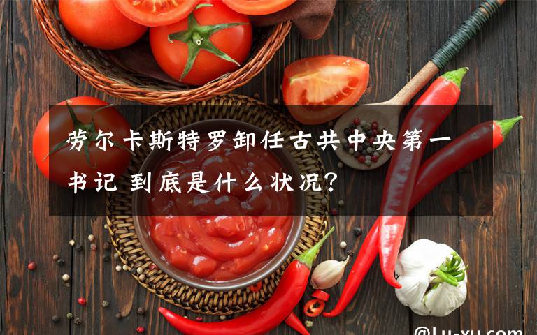 劳尔卡斯特罗卸任古共中央第一书记 到底是什么状况?