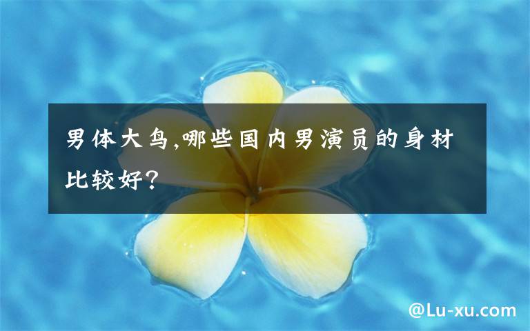 男体大鸟,哪些国内男演员的身材比较好?