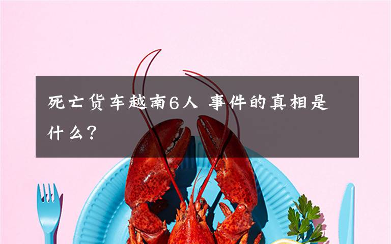死亡货车越南6人 事件的真相是什么?