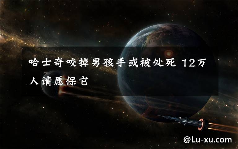 哈士奇咬掉男孩手或被处死 12万人请愿保它