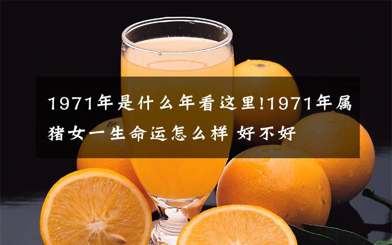 1971年是什么年看这里!1971年属猪女一生命运怎么样 好不好
