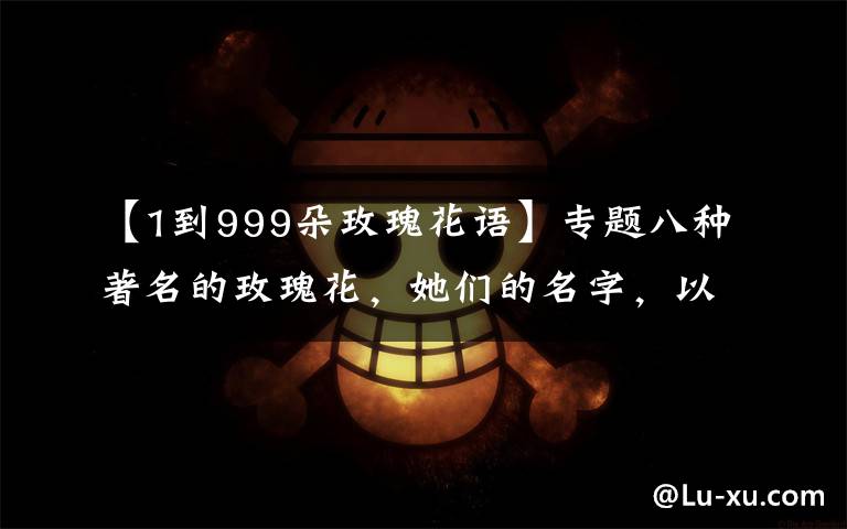 【1到999朵玫瑰花语】专题八种著名的玫瑰花,她们的名字,以及颜色包含的寓意