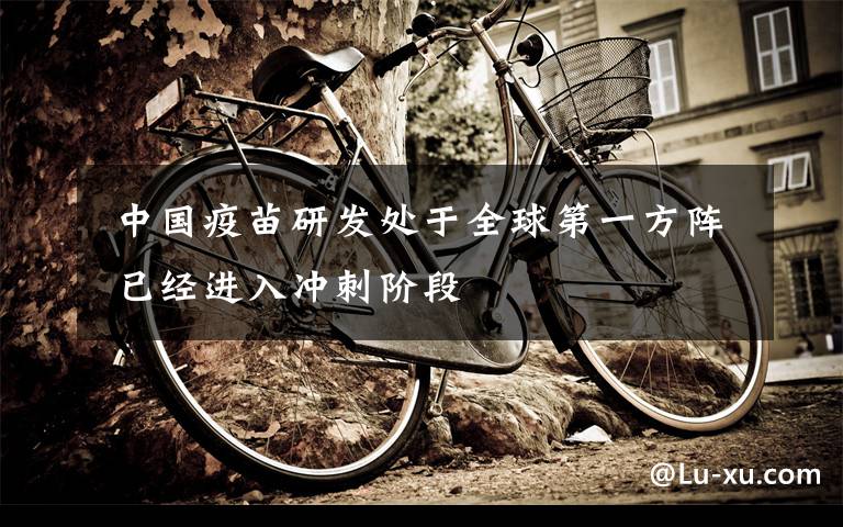 中国疫苗研发处于全球第一方阵 已经进入冲刺阶段