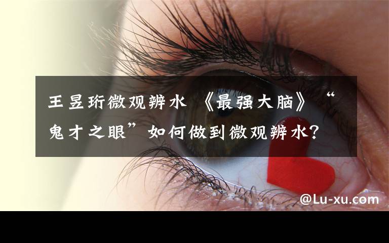 王昱珩微观辨水 《最强大脑》“鬼才之眼”如何做到微观辨水?