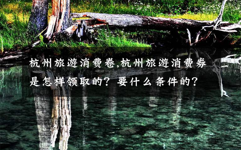 杭州旅游消费卷,杭州旅游消费券是怎样领取的？要什么条件的？