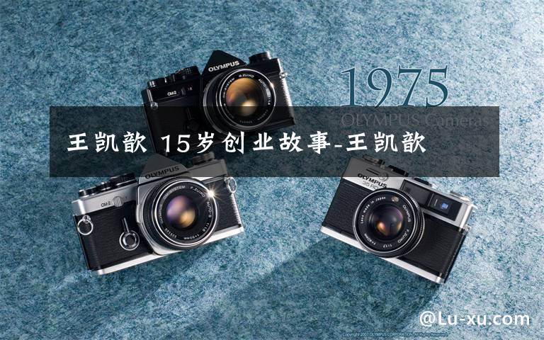 王凯歆 15岁创业故事-王凯歆