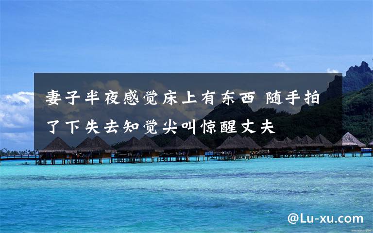 妻子半夜感觉床上有东西 随手拍了下失去知觉尖叫惊醒丈夫