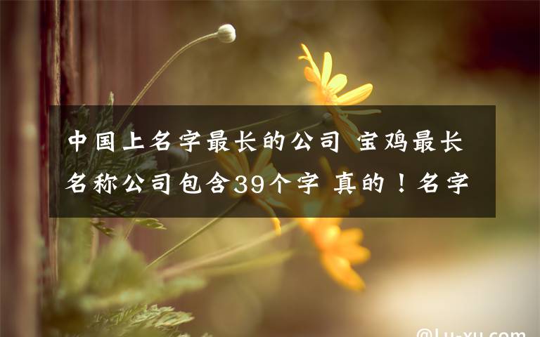 中国上名字最长的公司 宝鸡最长名称公司包含39个字 真的!名字很奇葩一口气念不完