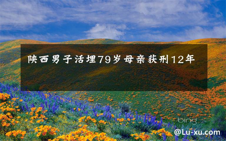 陕西男子活埋79岁母亲获刑12年