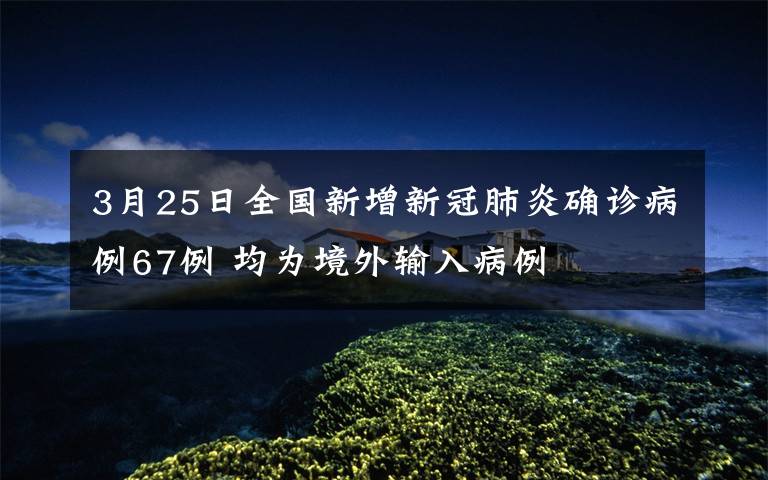 3月25日全国新增新冠肺炎确诊病例67例 均为境外输入病例