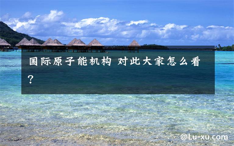 国际原子能机构 对此大家怎么看?