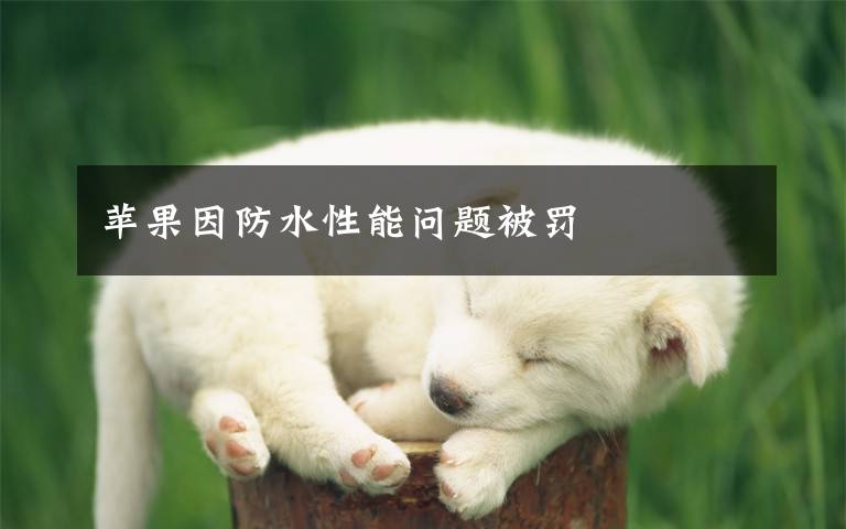 苹果因防水性能问题被罚