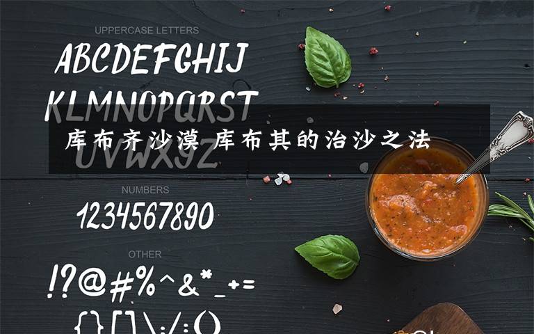 库布齐沙漠 库布其的治沙之法