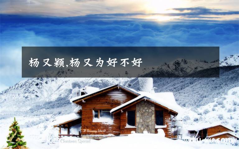 杨又颖,杨又为好不好