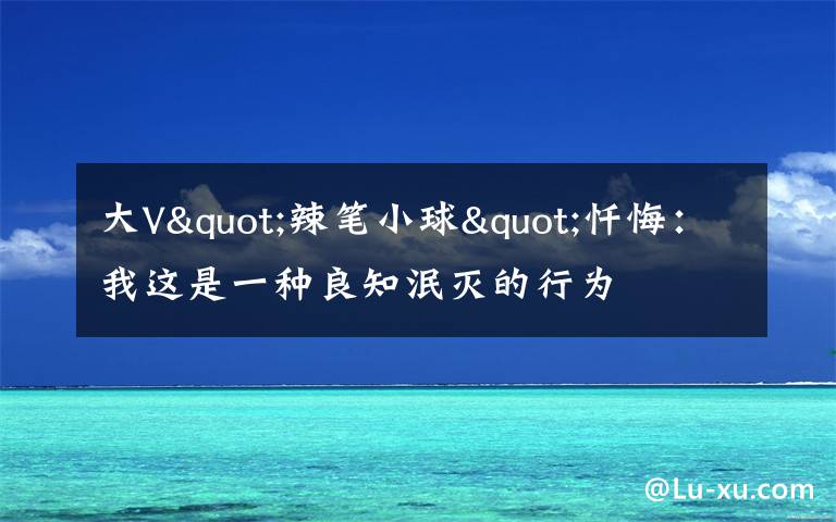 大V"辣笔小球"忏悔:我这是一种良知泯灭的行为