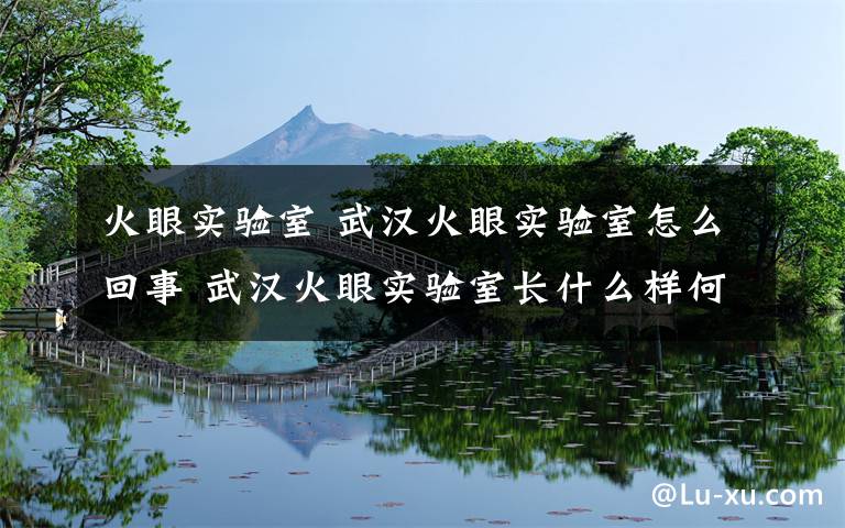 火眼实验室 武汉火眼实验室怎么回事 武汉火眼实验室长什么样何时运行