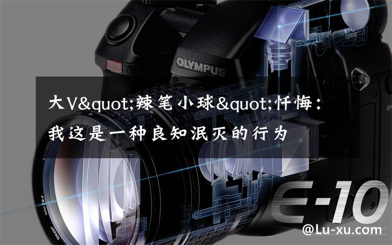 大V"辣笔小球"忏悔：我这是一种良知泯灭的行为