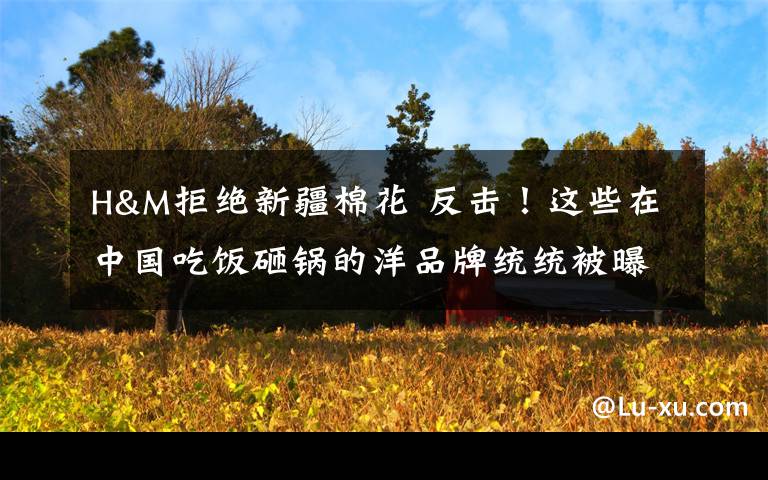 H&M拒绝新疆棉花 反击!这些在中国吃饭砸锅的洋品牌统统被曝光