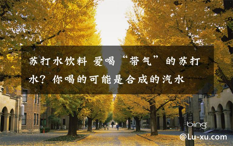 苏打水饮料 爱喝“带气”的苏打水?你喝的可能是合成的汽水