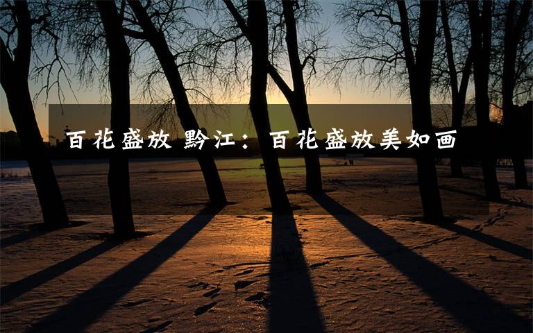 百花盛放 黔江:百花盛放美如画