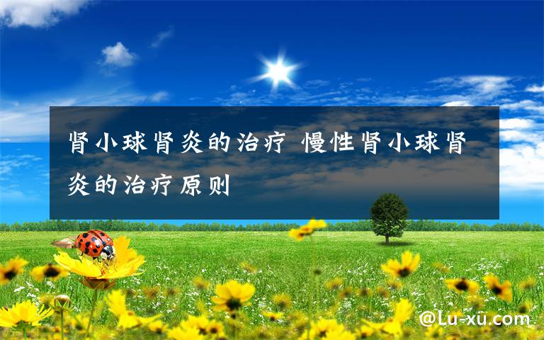 肾小球肾炎的治疗 慢性肾小球肾炎的治疗原则