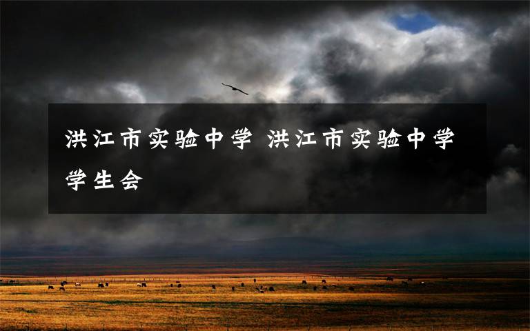 洪江市实验中学 洪江市实验中学学生会