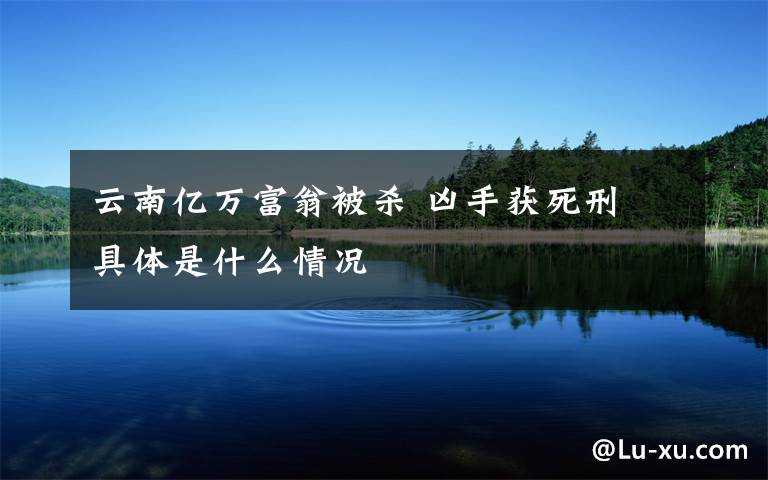 云南亿万富翁被杀 凶手获死刑 具体是什么情况
