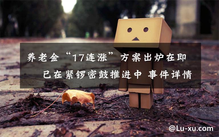 养老金“17连涨”方案出炉在即  已在紧锣密鼓推进中 事件详情始末介绍!