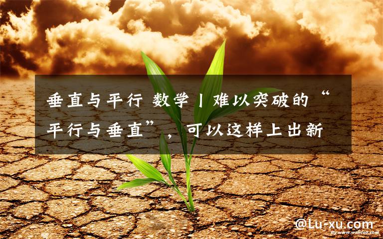 垂直与平行 数学丨难以突破的“平行与垂直”,可以这样上出新意(附完整教学实录)