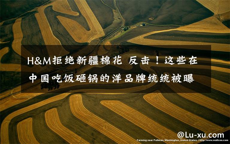 H&M拒绝新疆棉花 反击!这些在中国吃饭砸锅的洋品牌统统被曝光