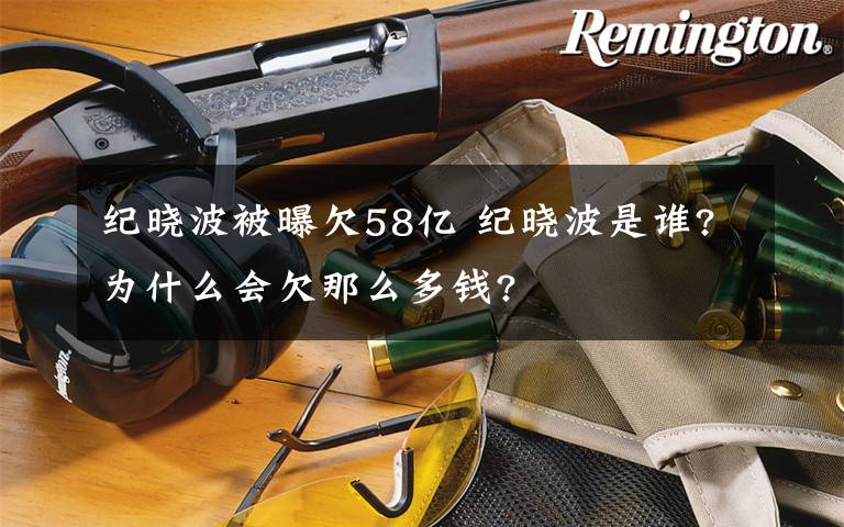 纪晓波被曝欠58亿 纪晓波是谁?为什么会欠那么多钱?