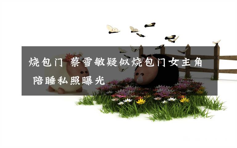 烧包门 蔡雪敏疑似烧包门女主角 陪睡私照曝光