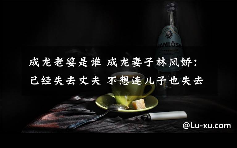 成龙老婆是谁 成龙妻子林凤娇:已经失去丈夫 不想连儿子也失去