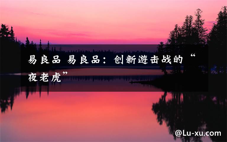 易良品 易良品:创新游击战的“夜老虎”