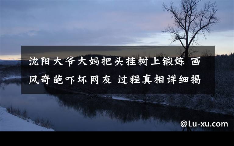 沈阳大爷大妈把头挂树上锻炼 画风奇葩吓坏网友 过程真相详细揭秘!