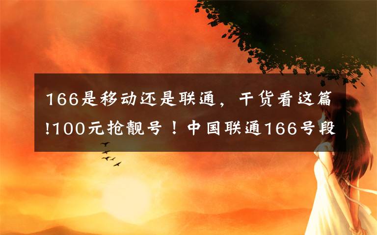 166是移动还是联通,干货看这篇!100元抢靓号!中国联通166号段开放申请