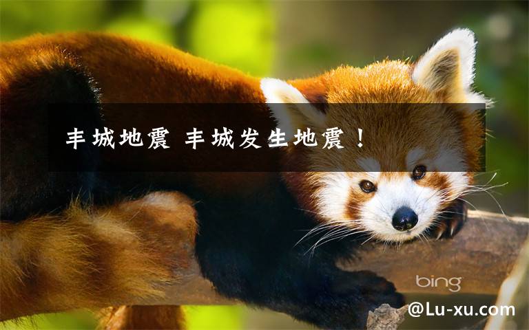 丰城地震 丰城发生地震!