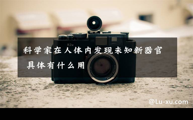 科学家在人体内发现未知新器官 具体有什么用