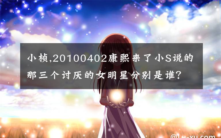 小桢,20100402康熙来了小S说的那三个讨厌的女明星分别是谁?