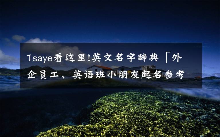 1saye看这里!英文名字辞典「外企员工、英语班小朋友起名参考（S字头部分2）」