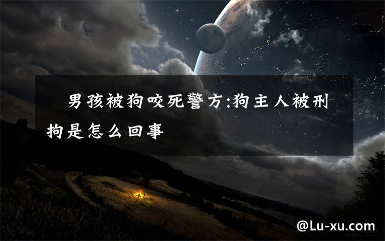 ​男孩被狗咬死警方:狗主人被刑拘是怎么回事