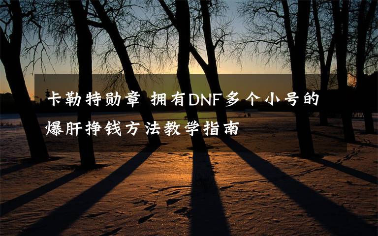 卡勒特勋章 拥有DNF多个小号的爆肝挣钱方法教学指南