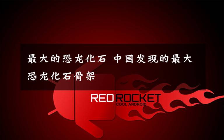 最大的恐龙化石 中国发现的最大恐龙化石骨架