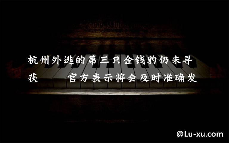 杭州外逃的第三只金钱豹仍未寻获   官方表示将会及时准确发布工作进展情况 还原事发经过及背后原因！