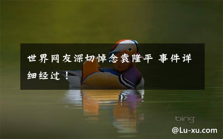 世界网友深切悼念袁隆平 事件详细经过!