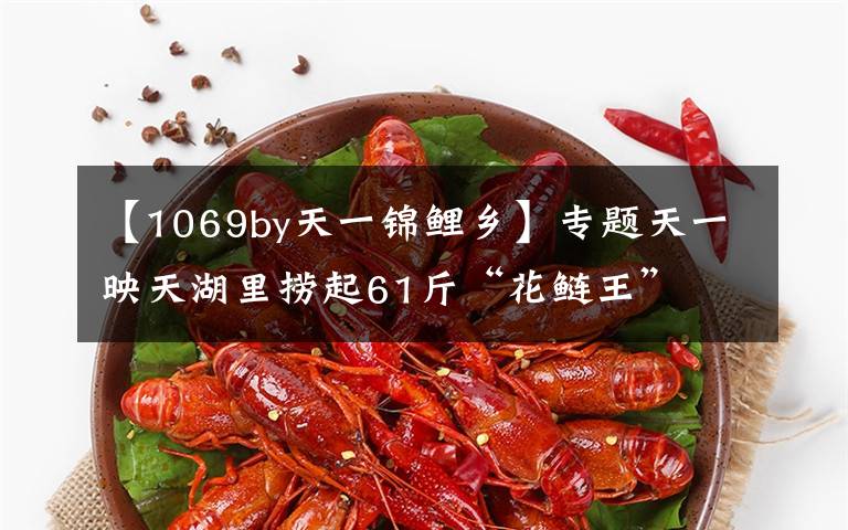 【1069by天一锦鲤乡】专题天一映天湖里捞起61斤“花鲢王”