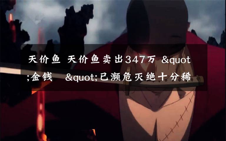 天价鱼 天价鱼卖出347万 "金钱鮸"已濒危灭绝十分稀有号称"上等大补品"