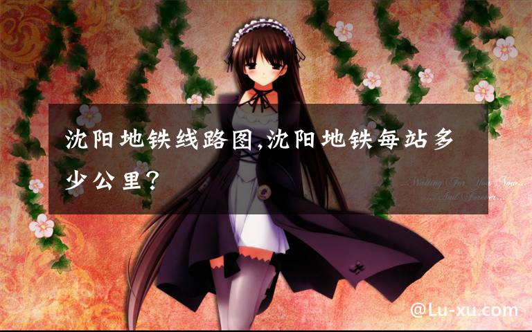 沈阳地铁线路图,沈阳地铁每站多少公里?