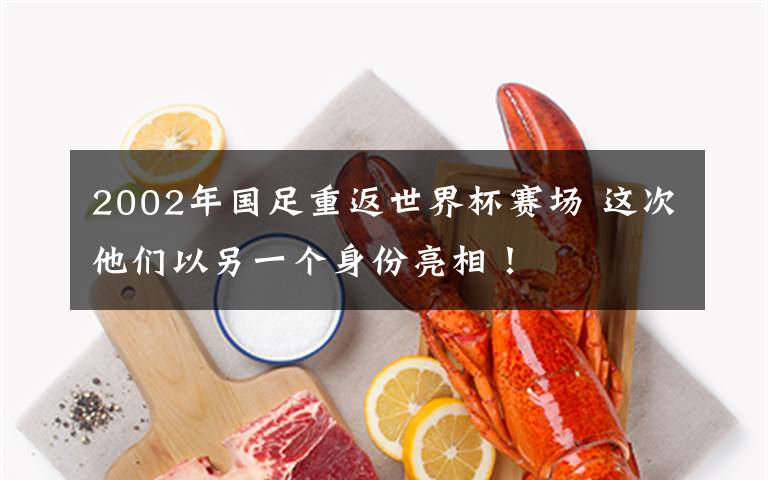 2002年国足重返世界杯赛场 这次他们以另一个身份亮相！